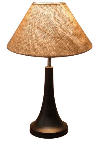 Homesake Brown & Black Matte Finish Table Lamp